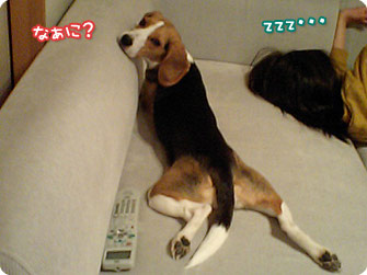 なぁに?
