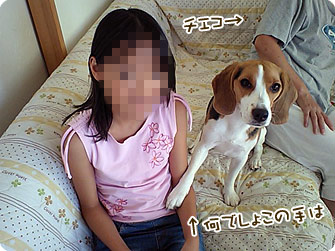 何でしょこの手は