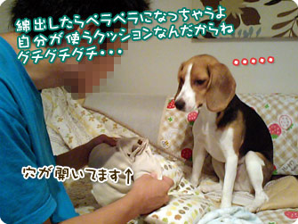 自分が使うクッションなんだから