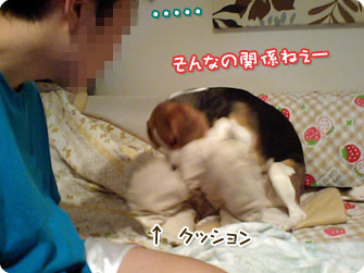 そんなの関係ねー