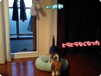 ヒラヒラなくなった