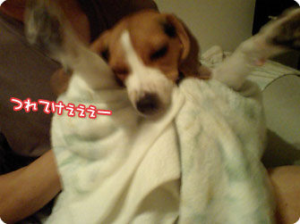 つれてけぇぇー