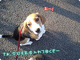 さぁ、今日も気合入れて歩くぞー