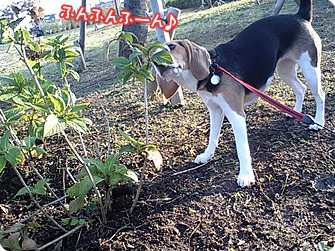 ふんふんふーん♪