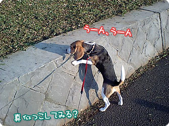 真似っこしてみる?