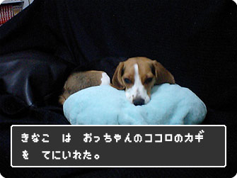 きなこは、おっちゃんのココロのカギをてにいれた。