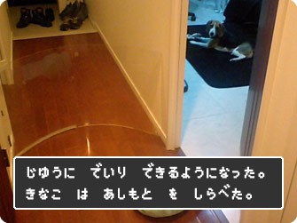 きなこは足もとを調べた!