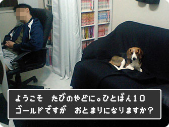 ようこそ旅の宿に。一晩10ゴールドですがお泊りになりますか?