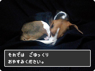 それでは、ごゆっくりお休みください。