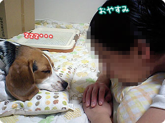 おやすみ