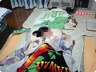 zzz・・・
