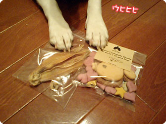 舌ひらめ&ビスケット