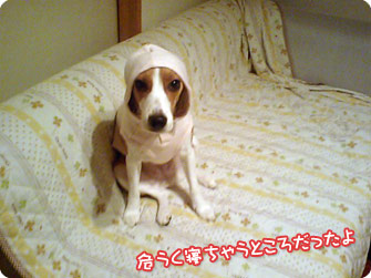 危うく寝ちゃうところだったよ