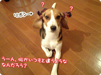 何かいつもと違うような