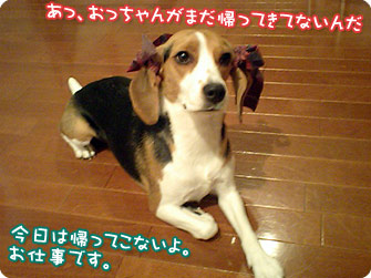 おっちゃんがまだ帰ってきてないじゃん!