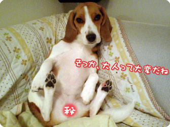 そっか、大人って大変だね