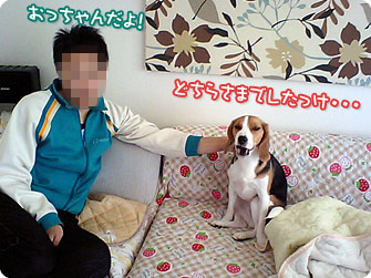 どちらさまでしたっけ・・・