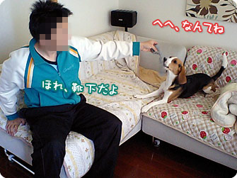 へへ、なんてね