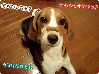 オヤツっオヤツっ