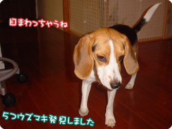 うずまき5つ発見