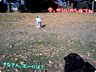 今、忙しいから後でね