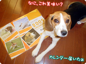 365カレンダーが届きました