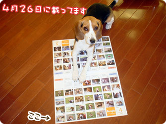 365カレンダーが届きました