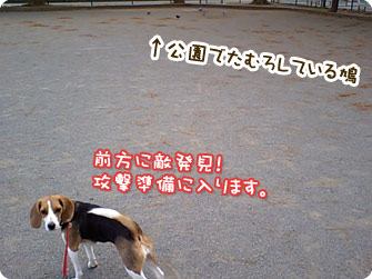 前方に敵発見!攻撃準備に入ります