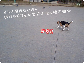 ソローリソローリ