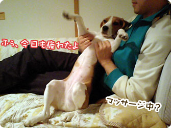 ふぅ、今日も疲れたよ