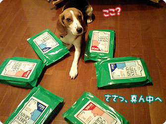 ささっ、真ん中へ