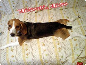 つまんないったらつまんない