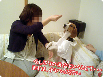 まずはオヤツをください