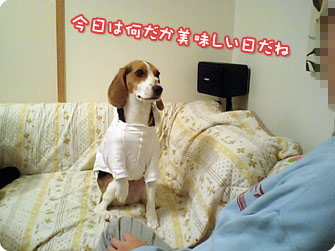 今日は何だか美味しい日だね