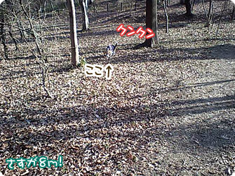 一人旅気分を満喫中