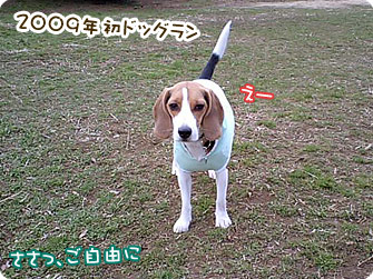2009年初ドッグラン