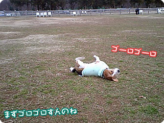 まずはゴロゴロ