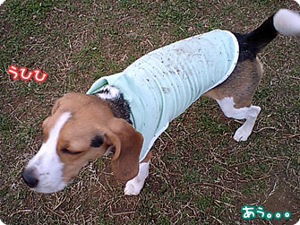 土&芝生だらけの洋服・・・