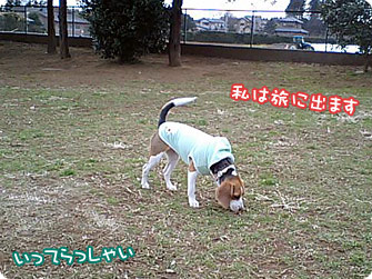 ワタシは旅に出ます