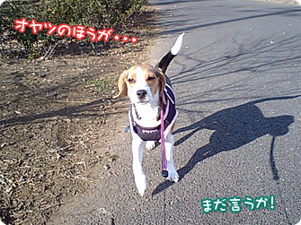 オヤツのほうが・・・