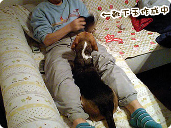 靴下玉作成中