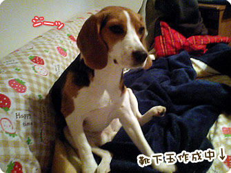 靴下玉完成