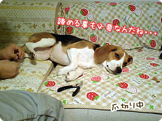諦める事も必要なんだね・・・