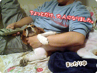 ちょっとだけ、大人になりました。