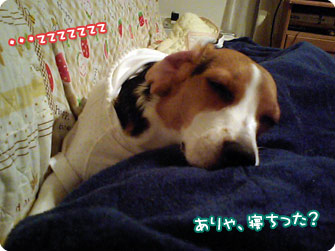 ・・・zzz