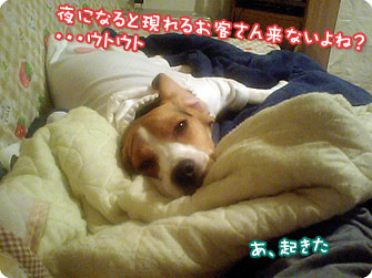 夜になると現れるお客さん来ないよね?