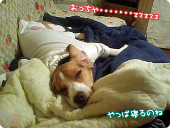 おっちゃ・・・zzz