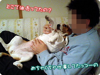 どこで油売ってたの?