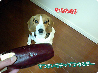 さつまいもチップス作るぞー