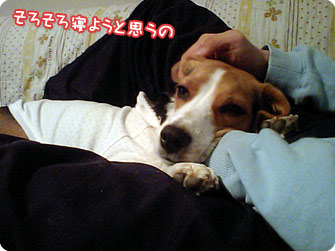 そろそろ寝ようと思うの
